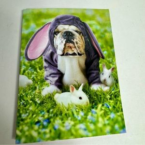 4 Avanti Greeting cards -bulldog in purple bunny rabbit costume Holiday: Easter